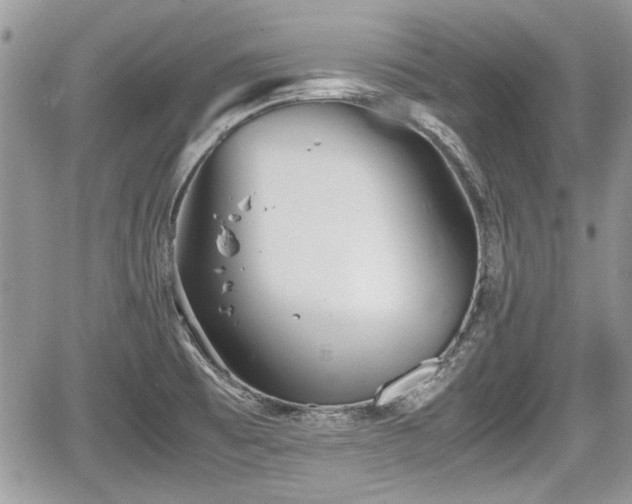 X0000067951473200604171423