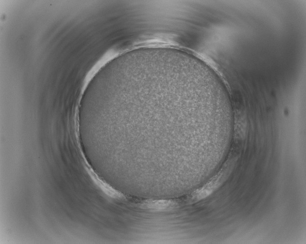 X0000067951474200604171423