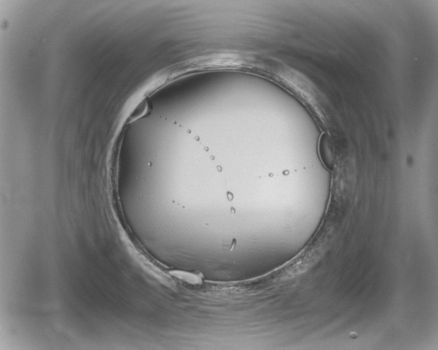 X0000067951475200604171423