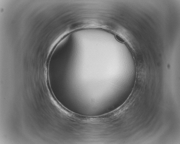 X0000067951476200604171423