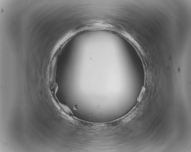 X0000067951477200604171423