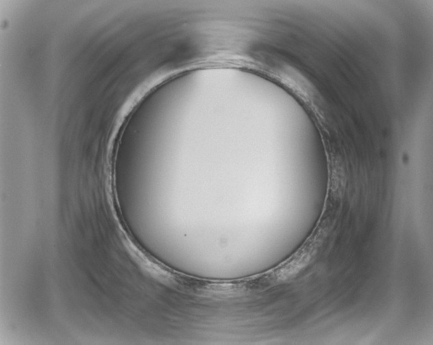 X0000067951478200604171423