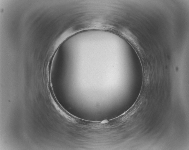 X0000067951479200604171423