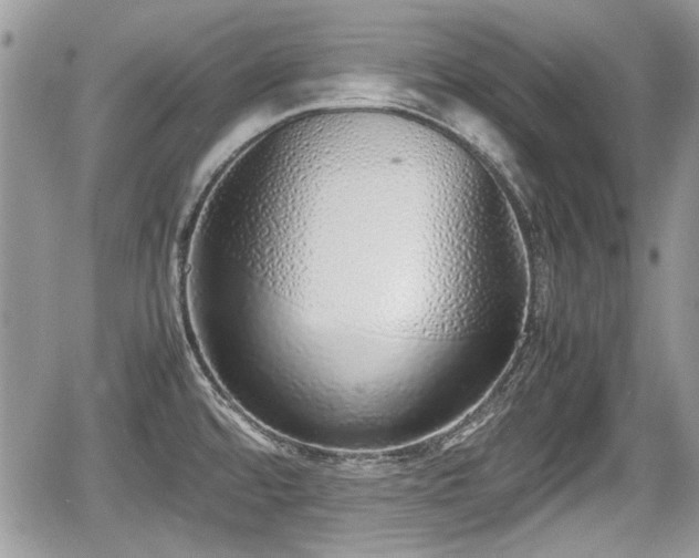 X0000067951480200604171423