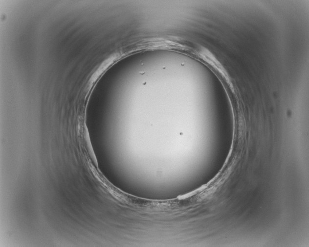 X0000067951481200604171423