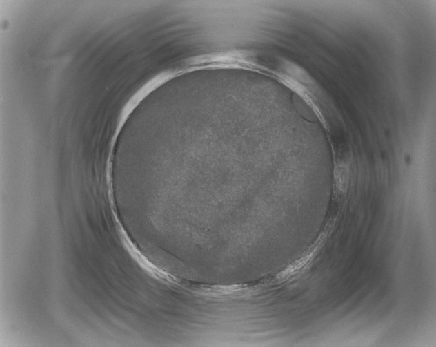 X0000067951482200604171423