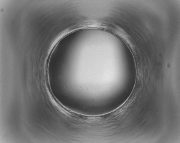 X0000067951483200604171423