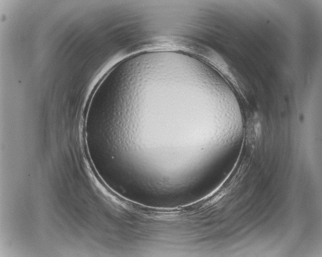 X0000067951484200604171423