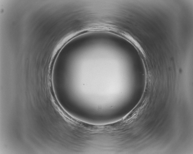 X0000067951485200604171423