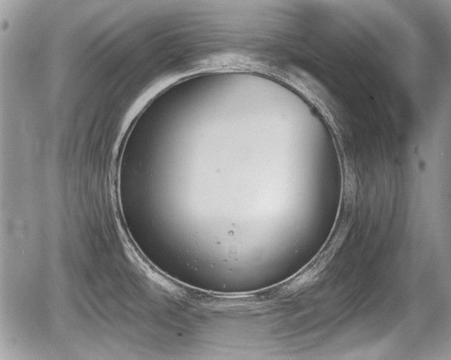 X0000067951486200604171423