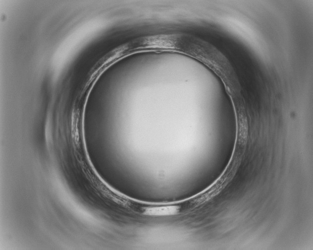 X0000067951487200604171423