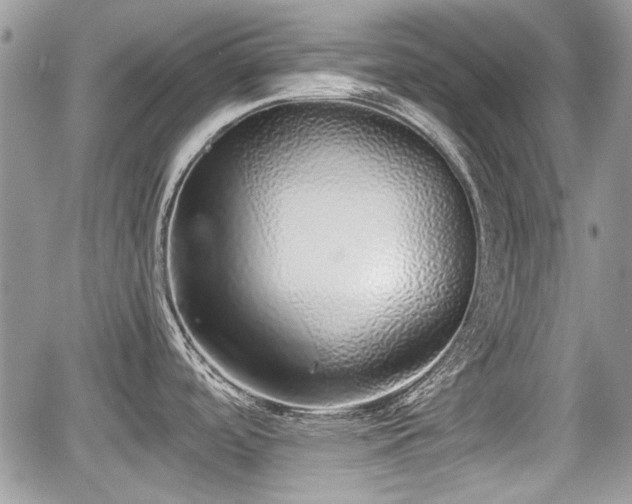 X0000067951488200604171423