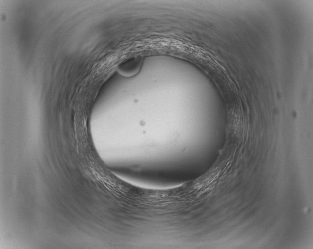 X0000067951489200604171422