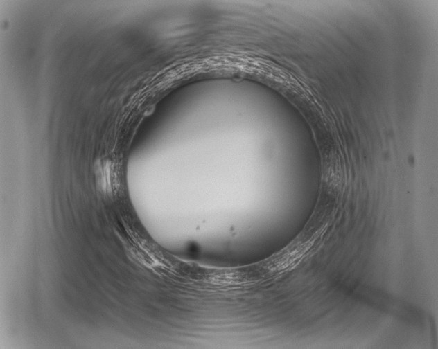 X0000067951490200604171422