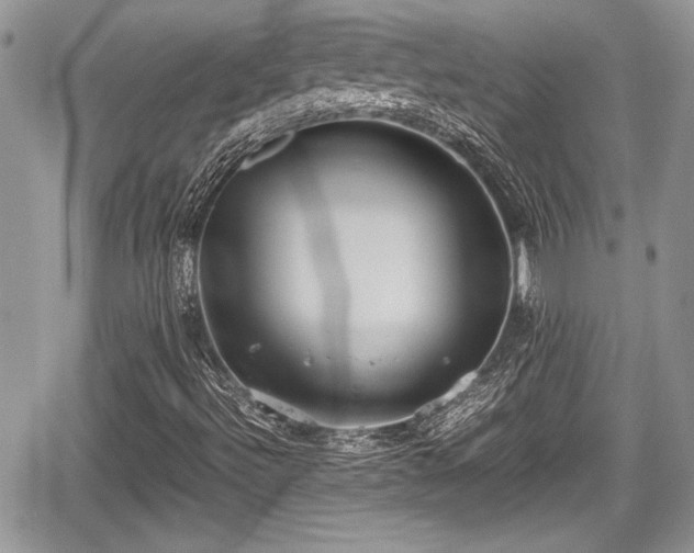 X0000067951492200604171422