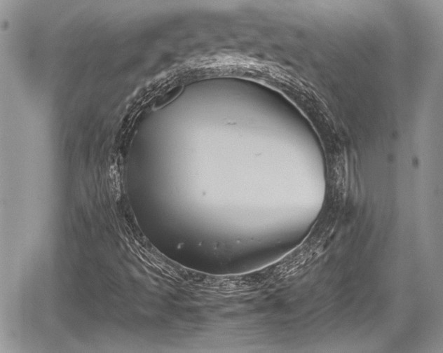 X0000067951493200604171422