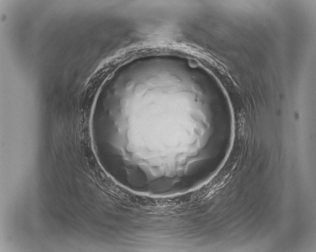 X0000067951494200604171422