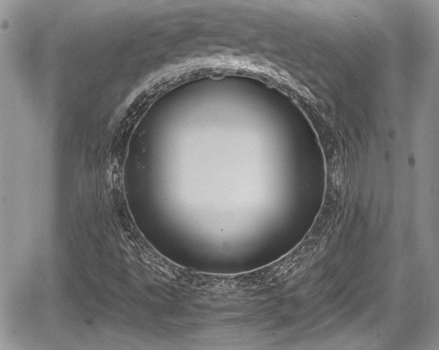 X0000067951495200604171422