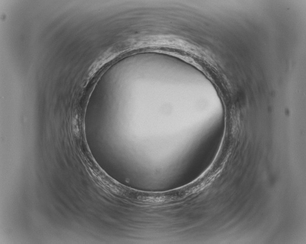 X0000067951497200604171422