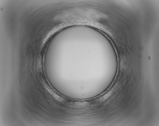 X0000067951498200604171422