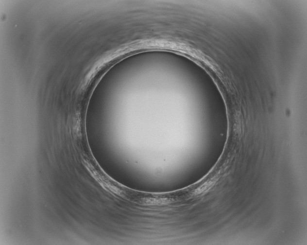 X0000067951499200604171422