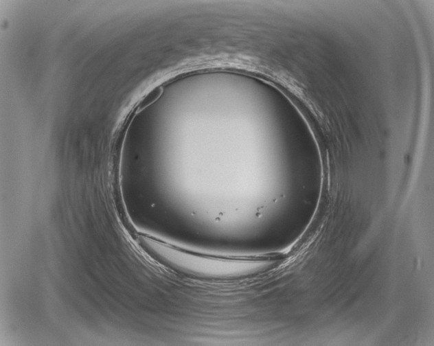 X0000067951500200604171422