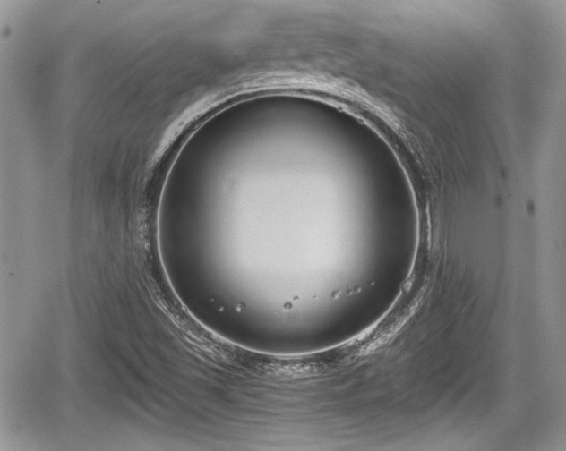 X0000067951501200604171422