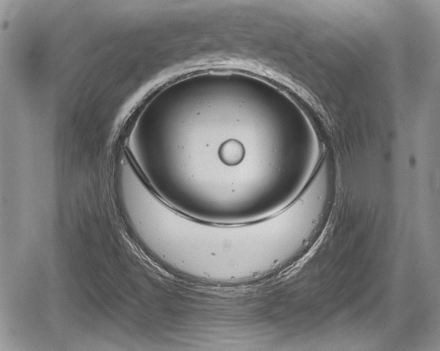 X0000067951502200604171422