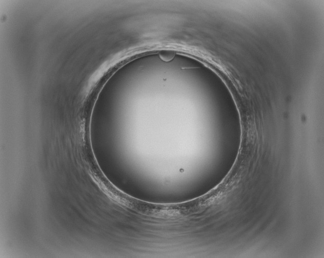 X0000067951503200604171422