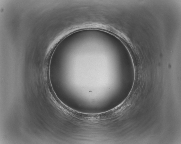 X0000067951504200604171422