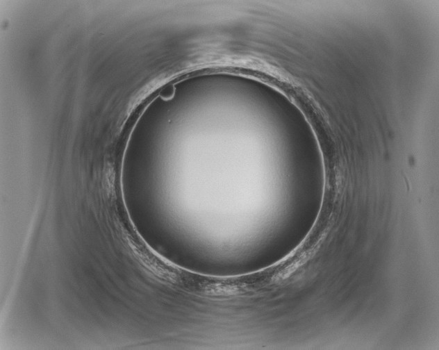 X0000067951505200604171422