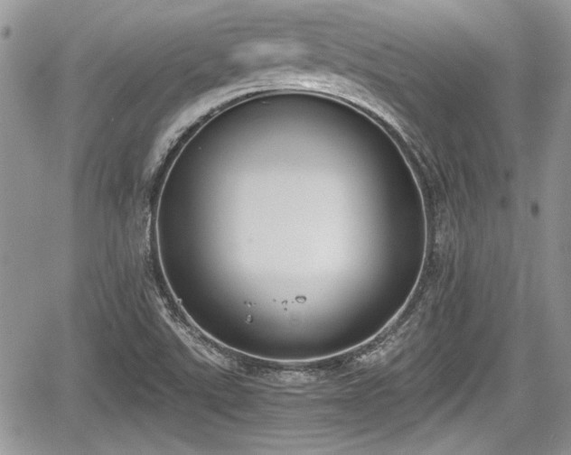 X0000067951507200604171422