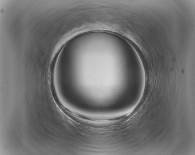 X0000067951508200604171422