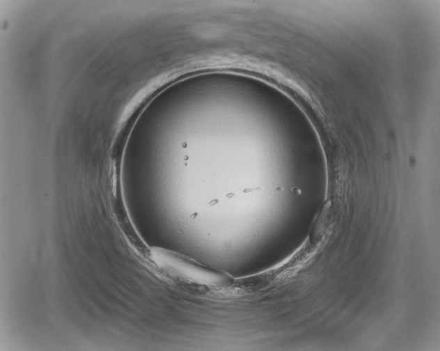 X0000067951509200604171422