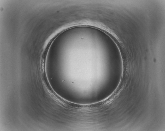 X0000067951510200604171422