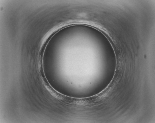 X0000067951511200604171422