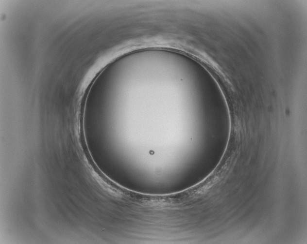 X0000067951512200604171422