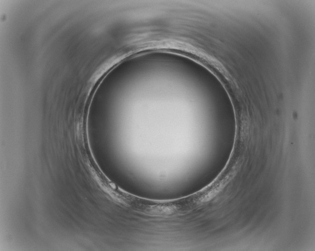 X0000067951513200604171422