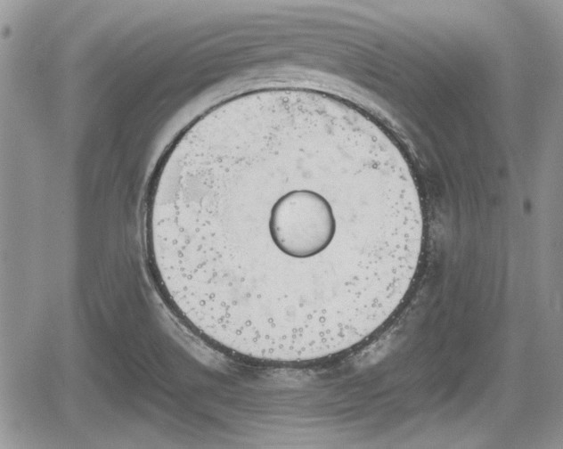 X0000067951514200604171422