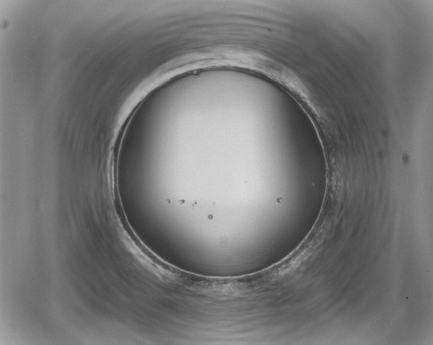 X0000067951516200604171422