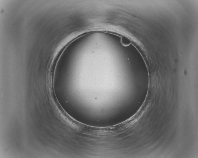 X0000067951517200604171422