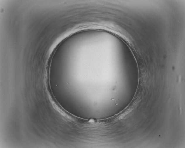 X0000067951518200604171422