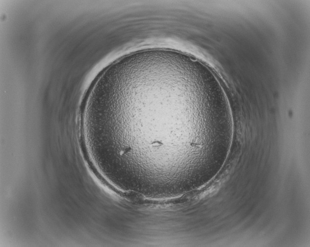 X0000067951519200604171422