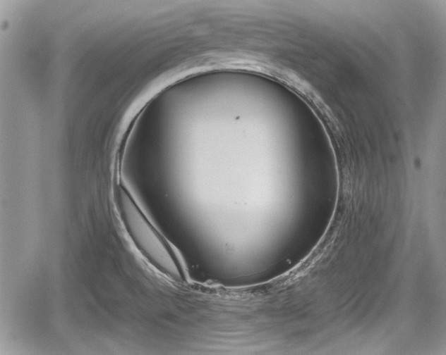 X0000067951520200604171422