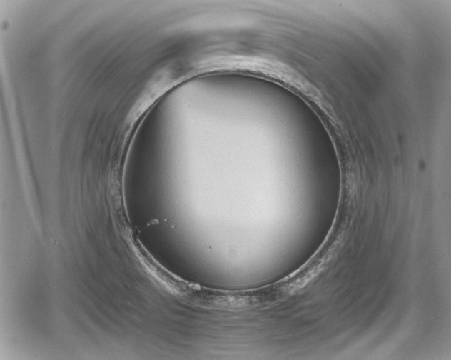 X0000067951521200604171422