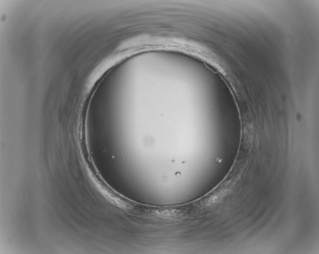 X0000067951523200604171422