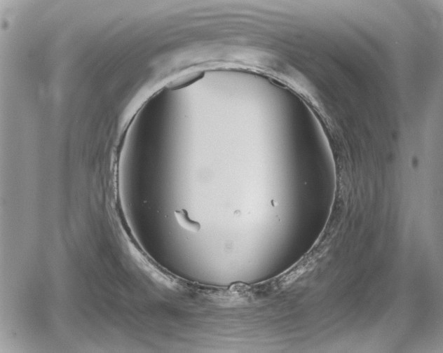 X0000067951524200604171422