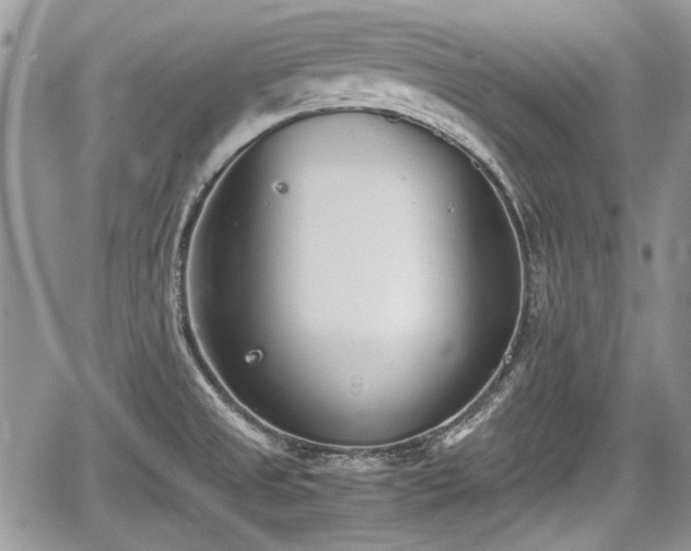 X0000067951525200604171422