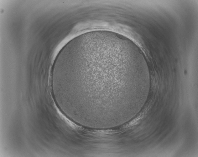 X0000067951527200604171422