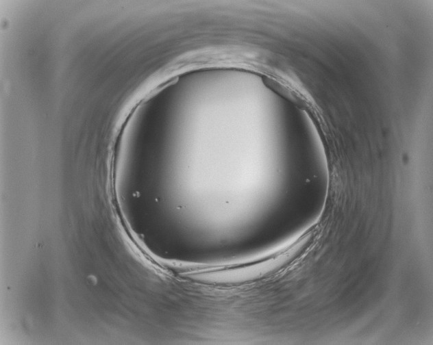 X0000067951528200604171422